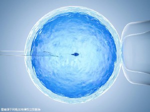 靠谱孕妈供卵代孕包生儿子